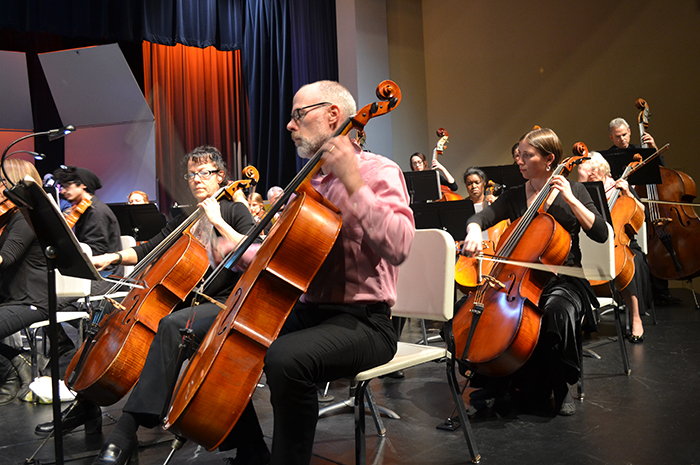 Orchestra cellos