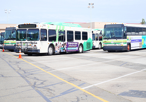 Five white and green buses parked in a Marin Transit parking lot.