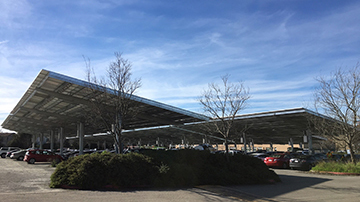 Petaluma Solar Project