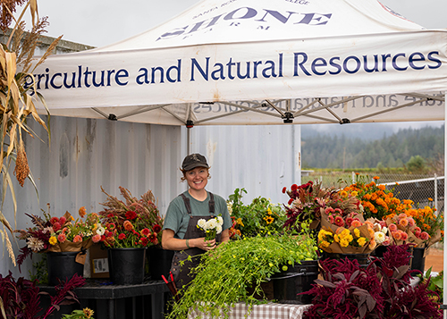 Shone Farm Flower Stand