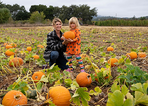 Shone Farm Pumpkin picking