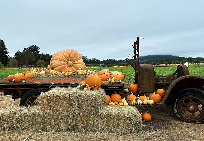 Shone Farm Fall Festival display