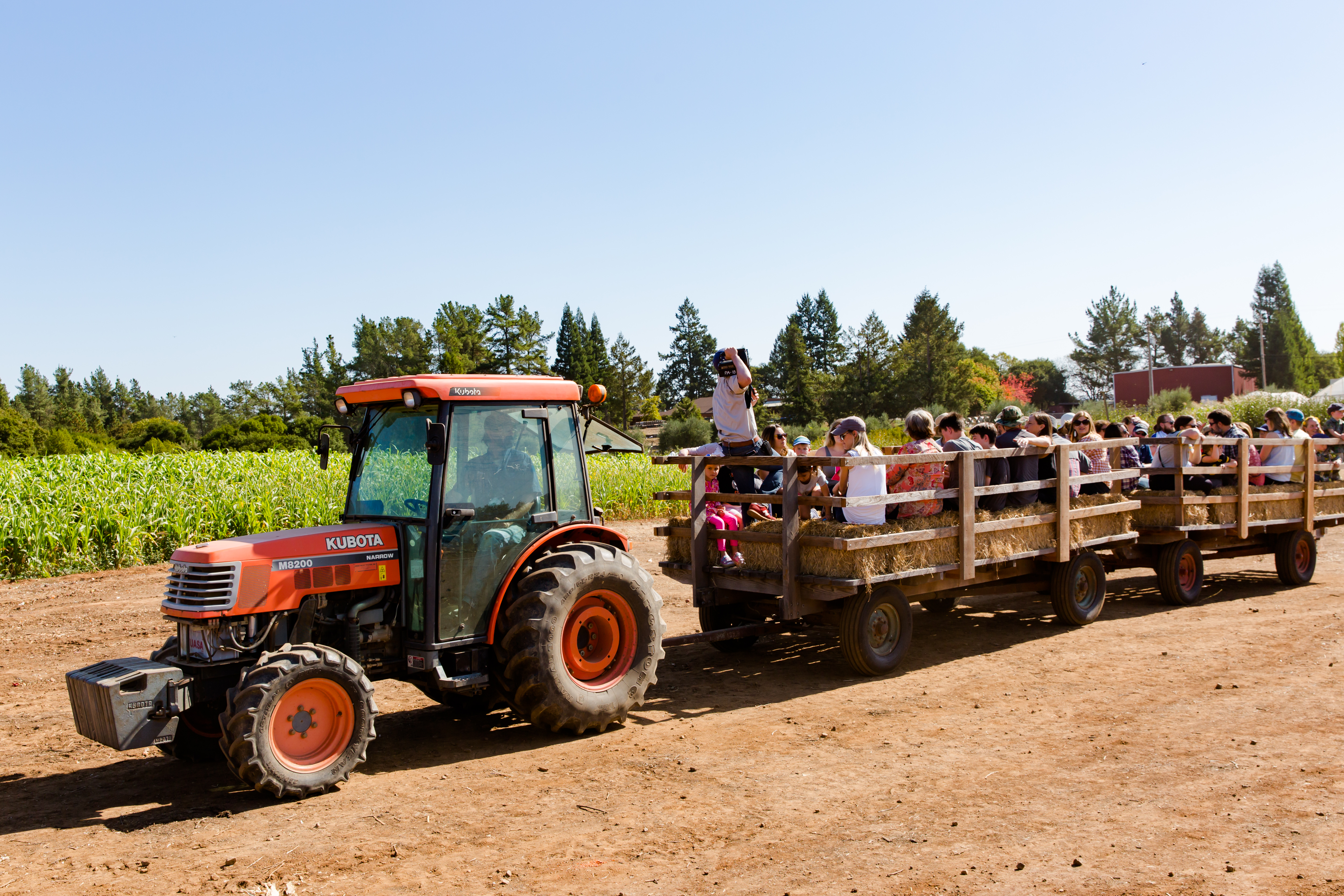 A small orange tractor drives down a dirt road, towing two partially enclosed flatbed wagons loaded with Fall Fest visitors seated on hay bales.
