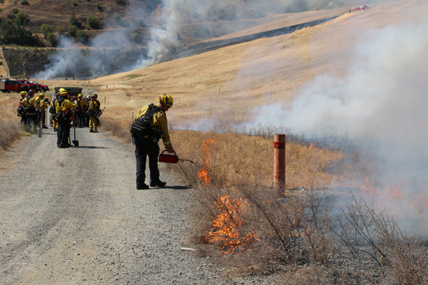 Foreground is a line of burning grass along a gravel road; fire tech using a drip torch stands mid-ground, while a large gathering of fire techs standing near a fire truck can be seen in the background.